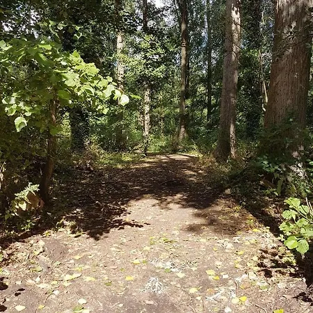 Alloggio in famiglia Bnbmarlies Oorsbeek