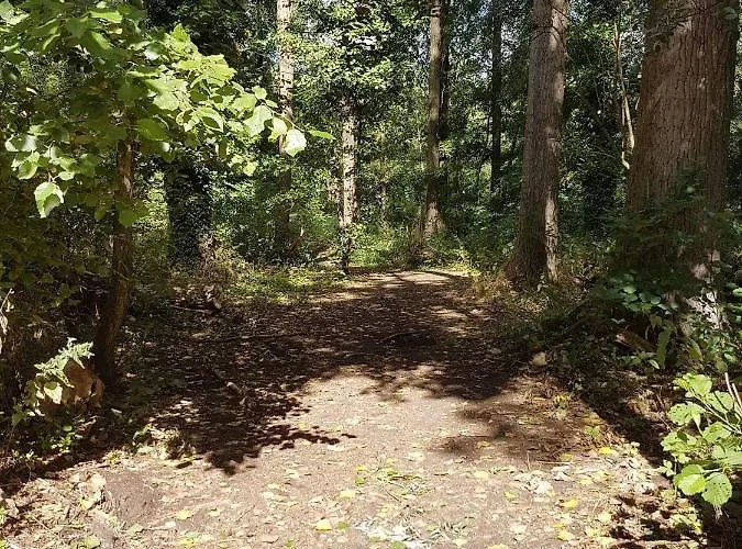 בית אירוח Bnbmarlies Oorsbeek